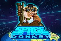SPACE DONKEY